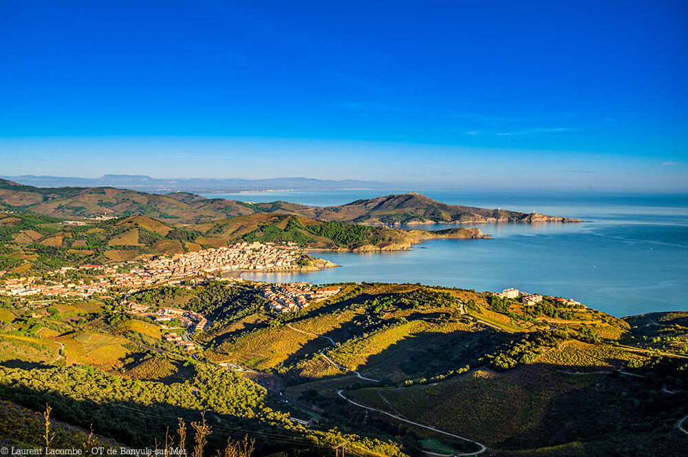 banyuls-fb.1462024.jpeg